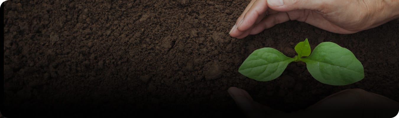 可持續發展的口腔護理產品